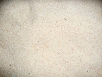 Kalsiyum Karbonatlı Kum