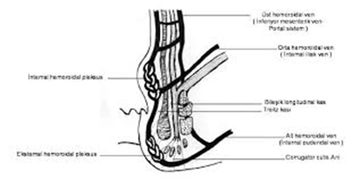 Kalsiyum Dobesilat Özellikleri ve Faydaları Nelerdir?